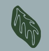 Root and Branch Gardens